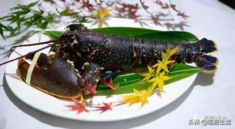 世界上的各种龙虾,世界上最大龙虾
