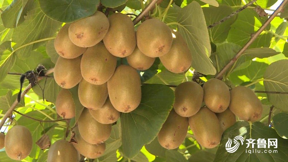 农贸市场食品安全公示栏,2020年食品安全示范城市名单