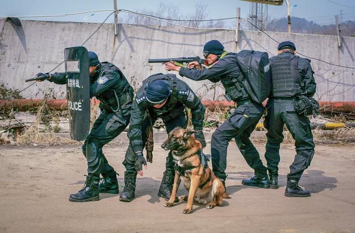 浙江公安特警实战练兵视频,怎样提升公安特警战斗力