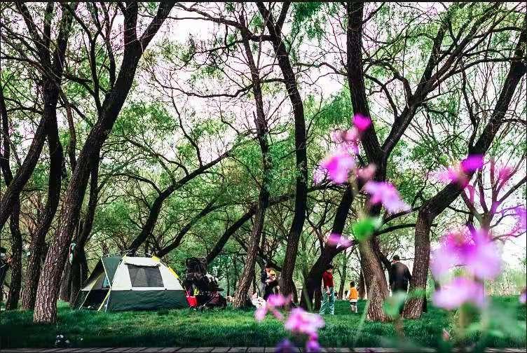 “最美复兴,为‘景’而来”——摄影及抖音大赛火热来袭!