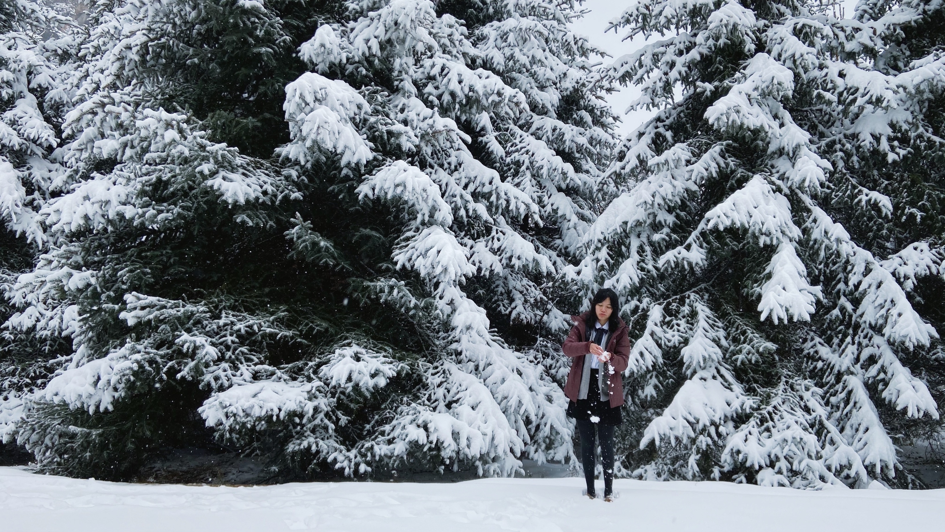 macai始祖鸟是硬壳还是软壳,始祖鸟macai滑雪测评