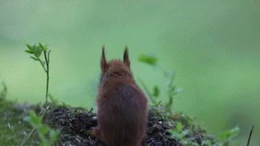 葬礼当天，她成为了四个孩子的“后妈”，网友：这是童话故事吧