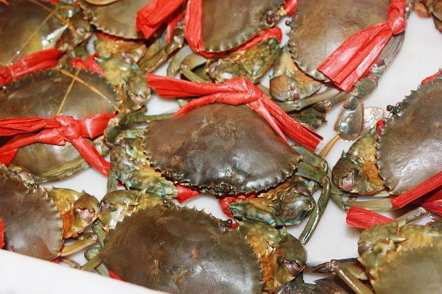 三亚海景旅行攻略,三亚椰风海岸美食攻略