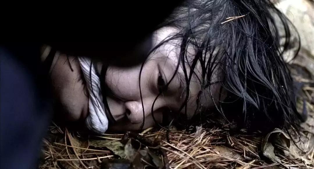 真实刑侦破案纪录片,中国警察破案纪录片有哪些