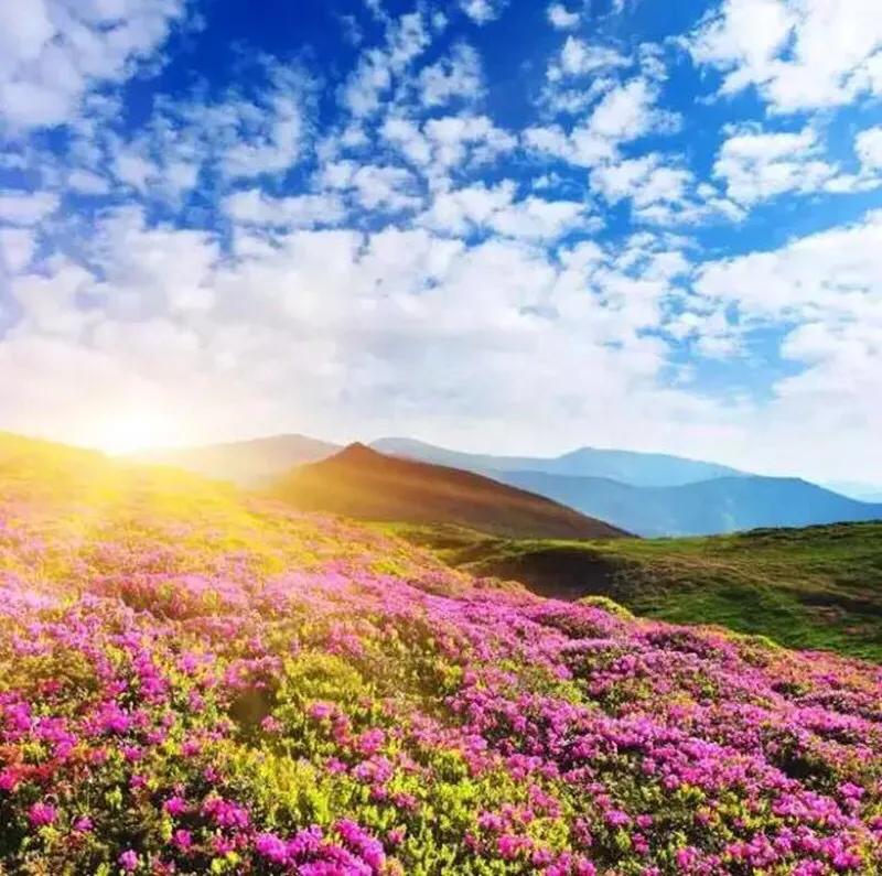 国庆期间草根足球彝州相约康体休闲“一举两得”