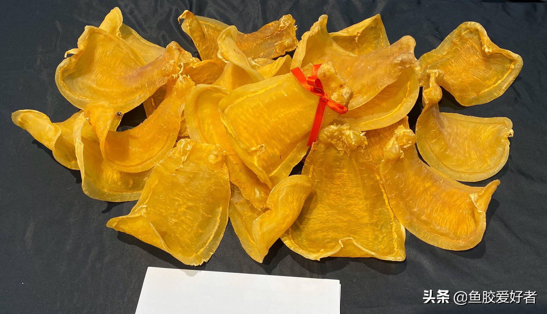 鳘鱼胶有哪些品种,赤嘴鱼胶哪个品种比较补血