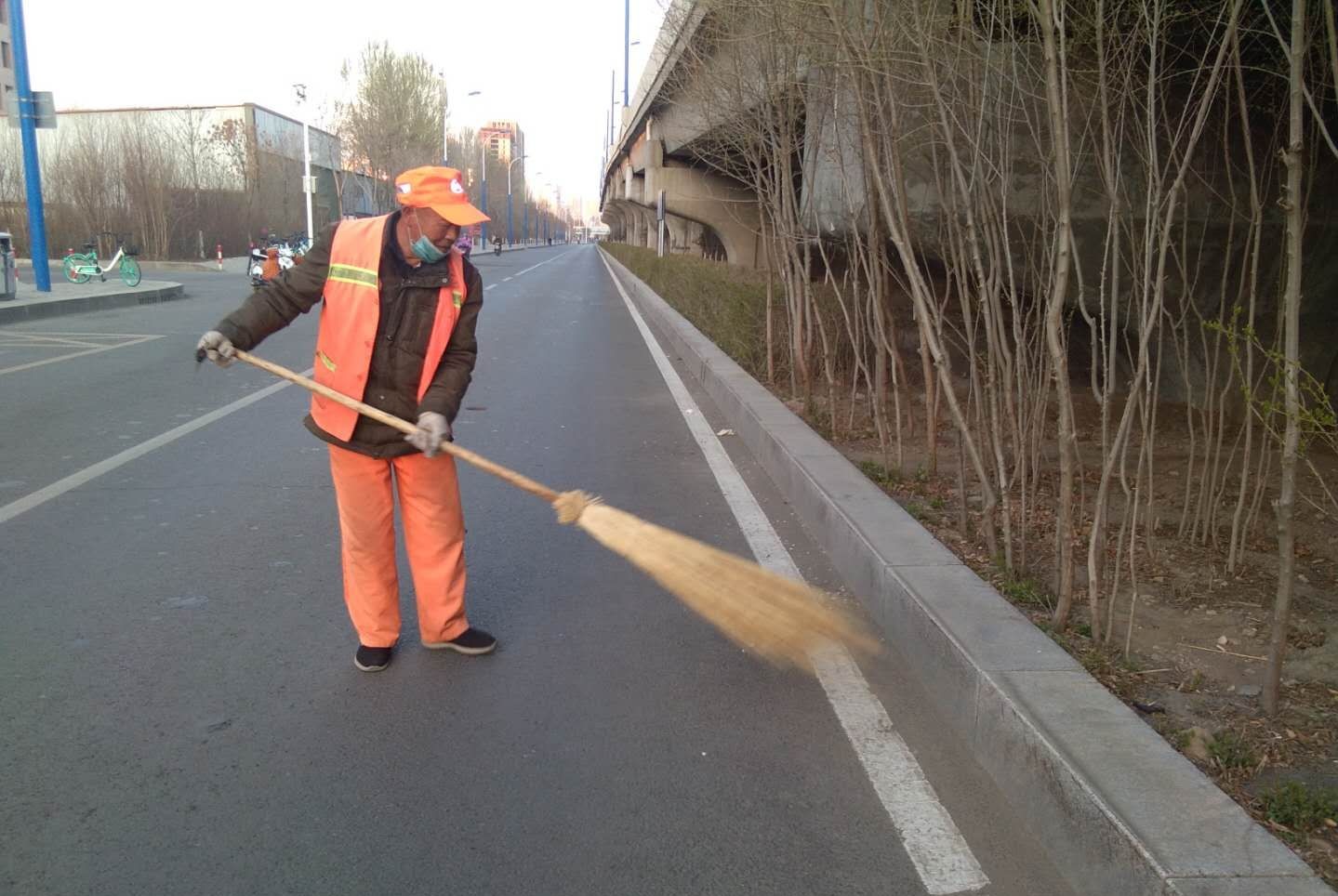 “城市黄玫瑰绽放新英姿”