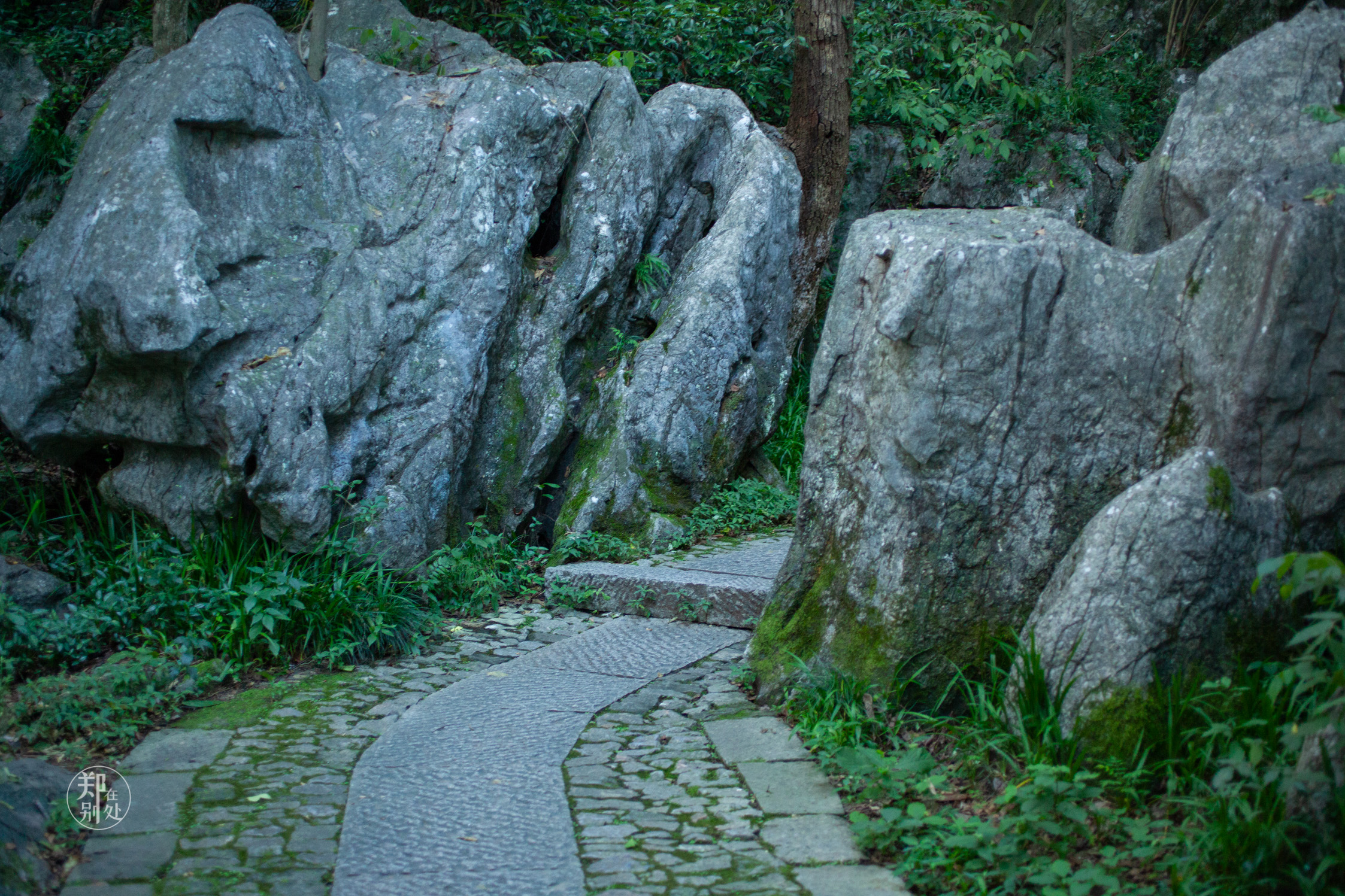 坐公交游杭州几路最好,杭州87路公交沿路风景
