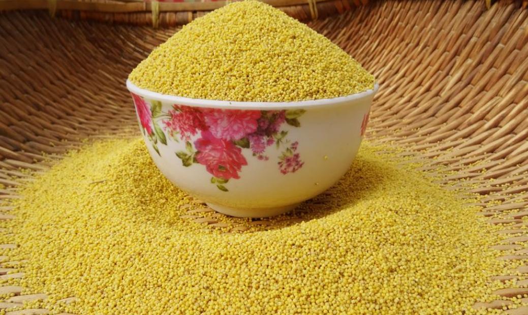 黄小米适合哪类人吃,黄小米的功效有祛湿作用吗