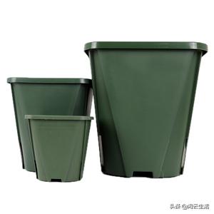 家居花盆如何选好看又实惠,家居种植花盆怎么选择