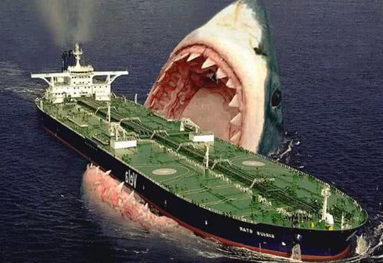 史前巨兽巨齿鲨到底有多厉害,史前巨齿鲨为什么只吃鲸鱼