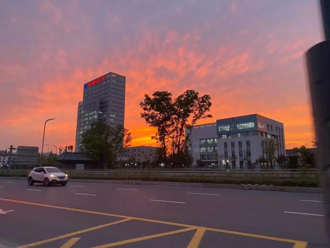 江苏省高校（九）扬州大学