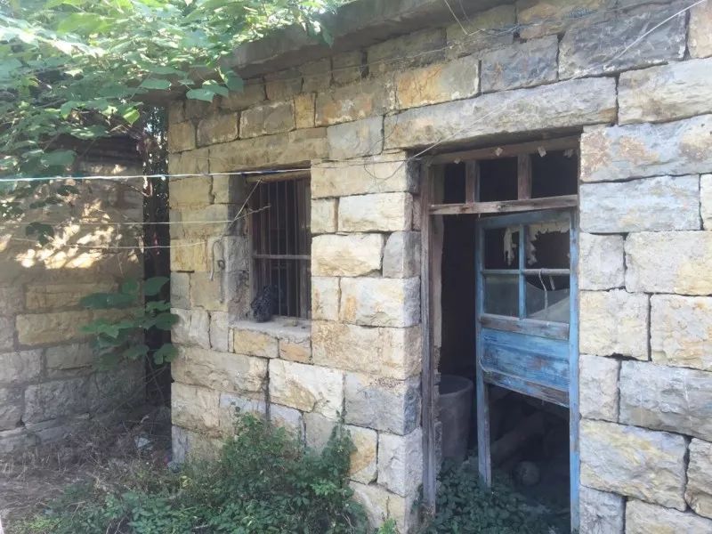 10000块能做点什么,10000块钱能做什么