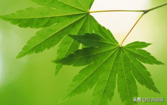 叮当中医在线问诊的医生靠谱吗,叮当国医13-20集