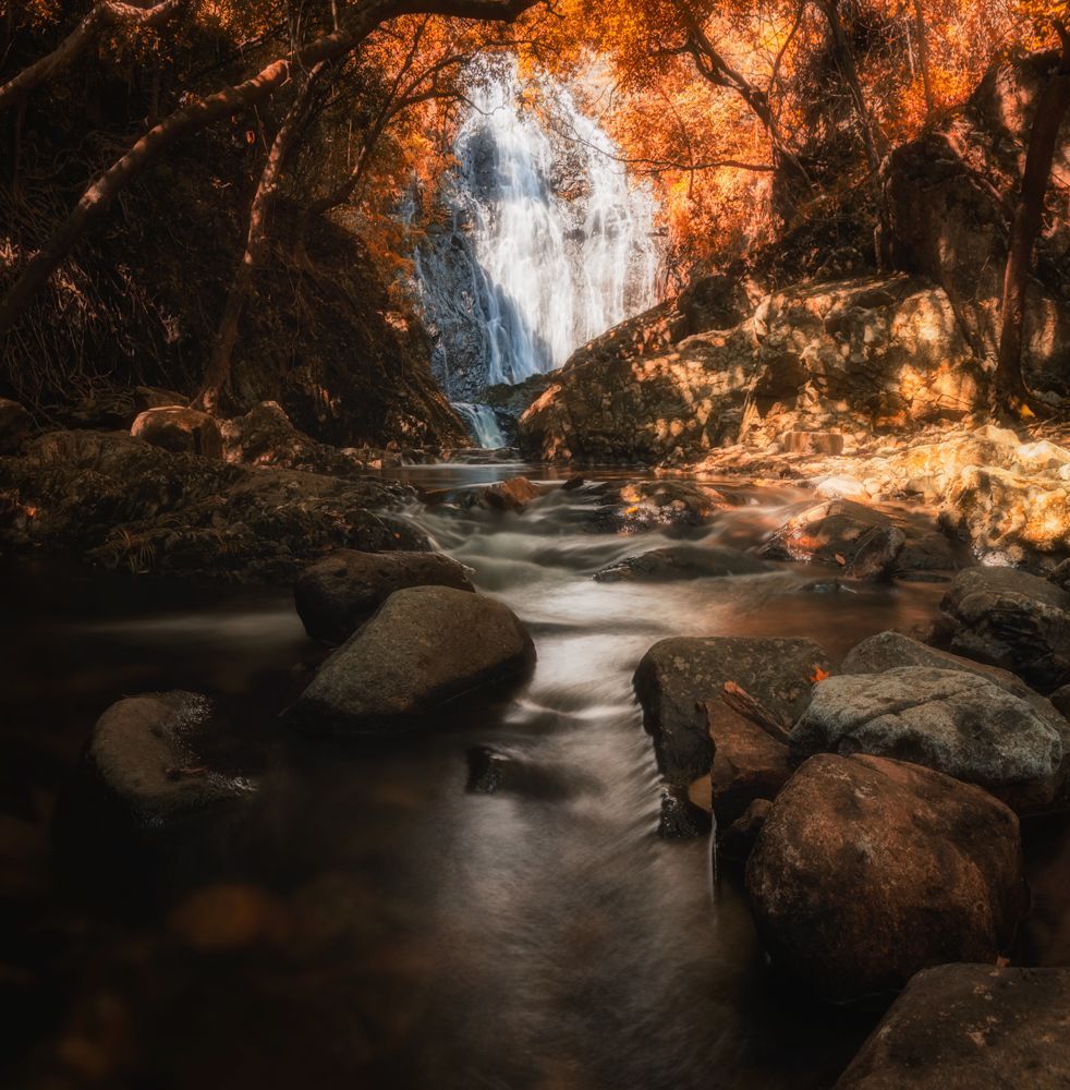 学好黑白摄影先了解这十种影调,十种影调图片大全