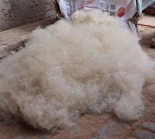 辽宁朝阳非遗传承文化体验馆,蒙古族擀毡技艺