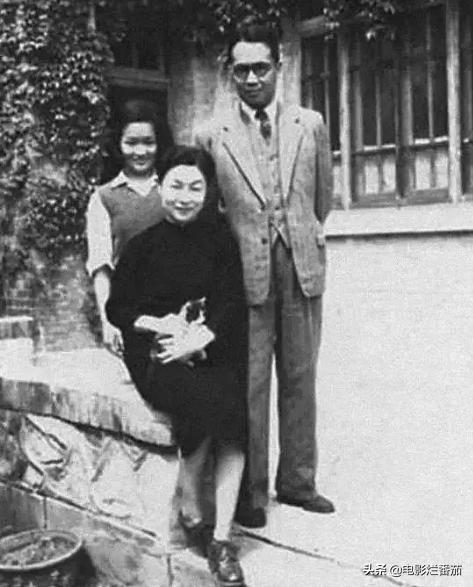 这部温情的撸猫片,让我哭得溃不成军,这是全世界猫*党**的胜利