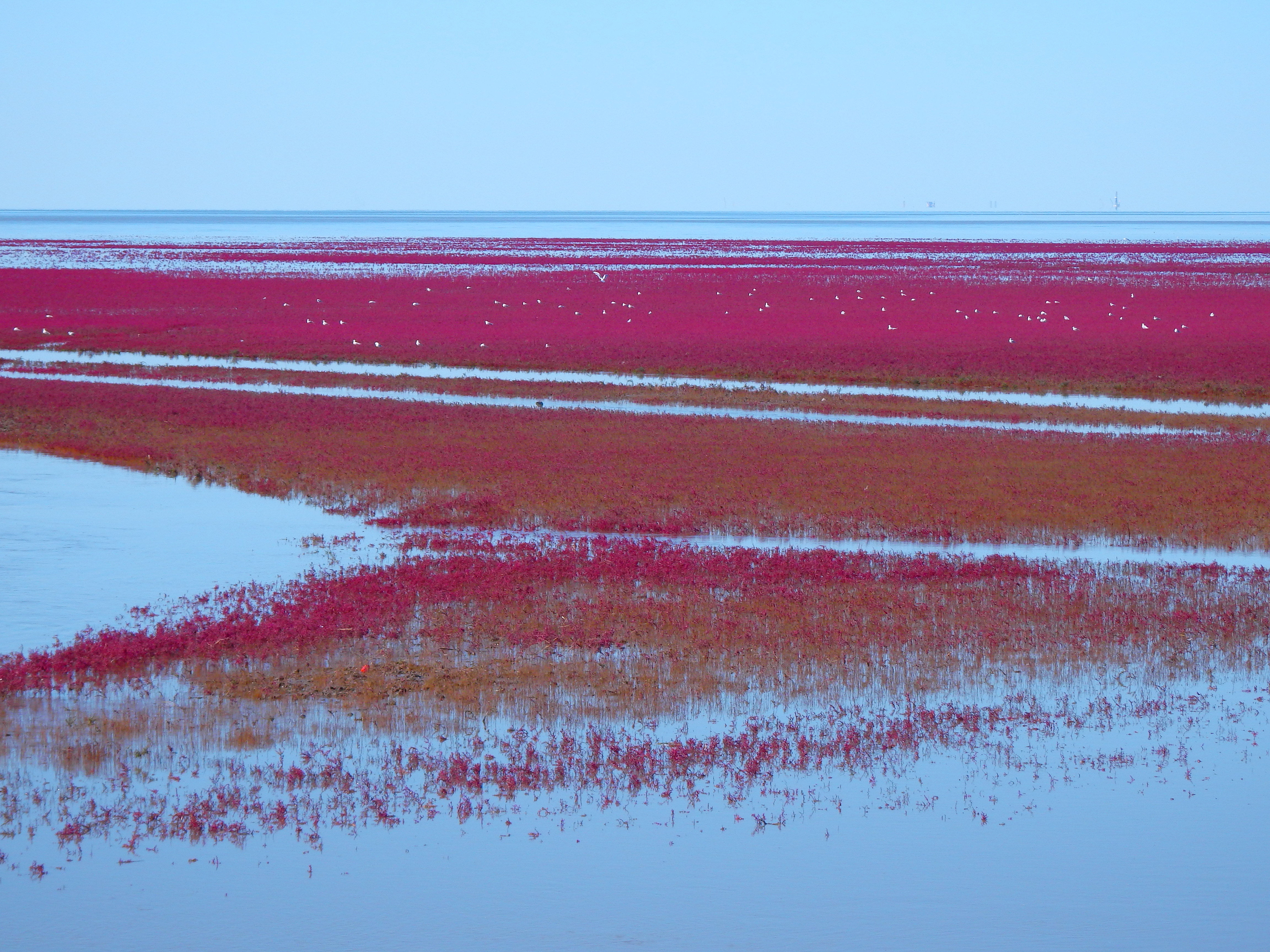 中国红海旅游攻略自由行,中国看大海去哪里旅游