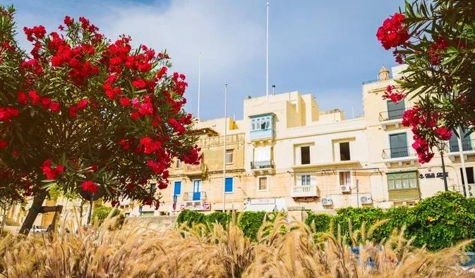 马耳他地中海迷人蓝色海水,地中海明珠马耳他视频