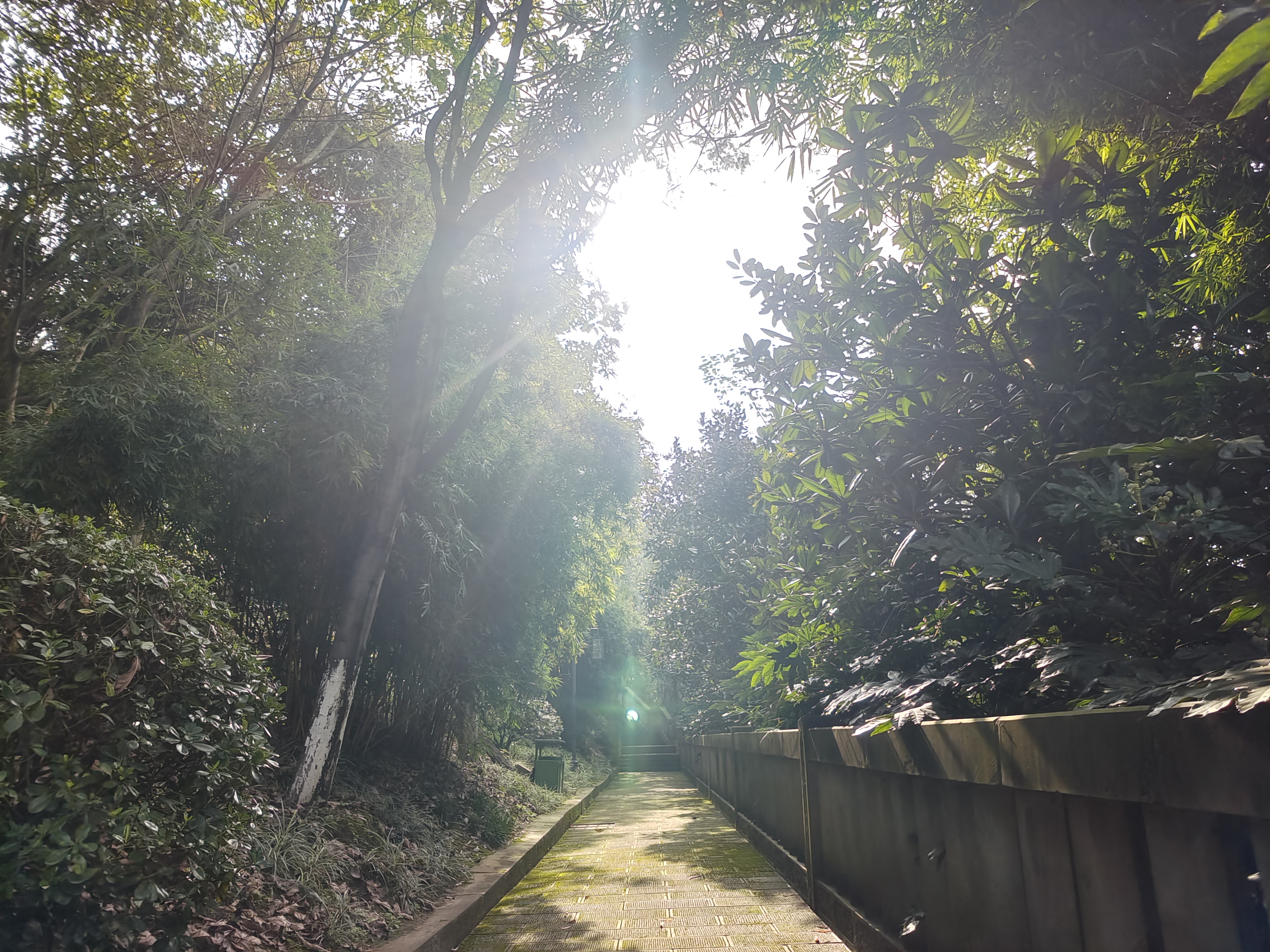 记流水账式旅游,万州南山公园游览顺序