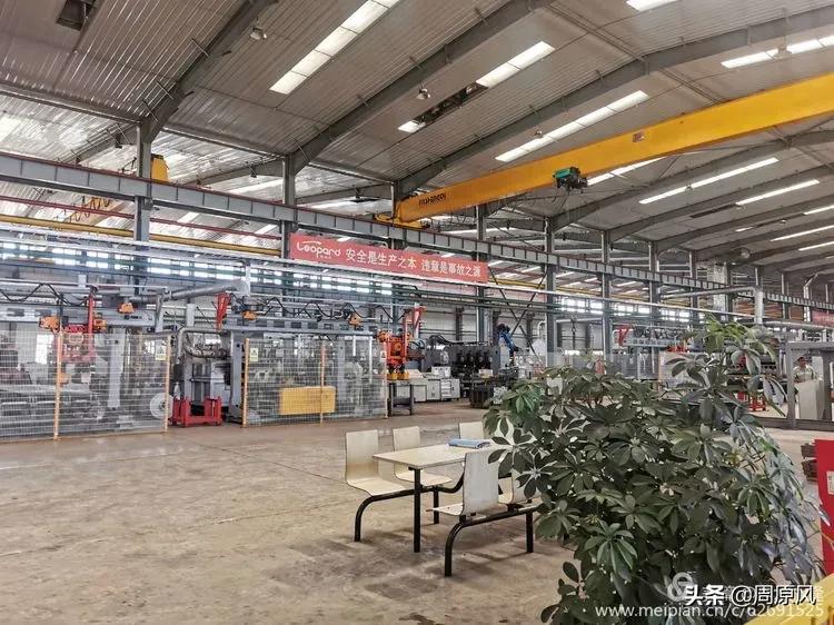 赴一场春日的邀约,五月赴一场与槐花的约会