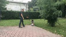 儿砸！为何我磨破嘴皮说安全，你还是上天入地、眼肿、牙碎