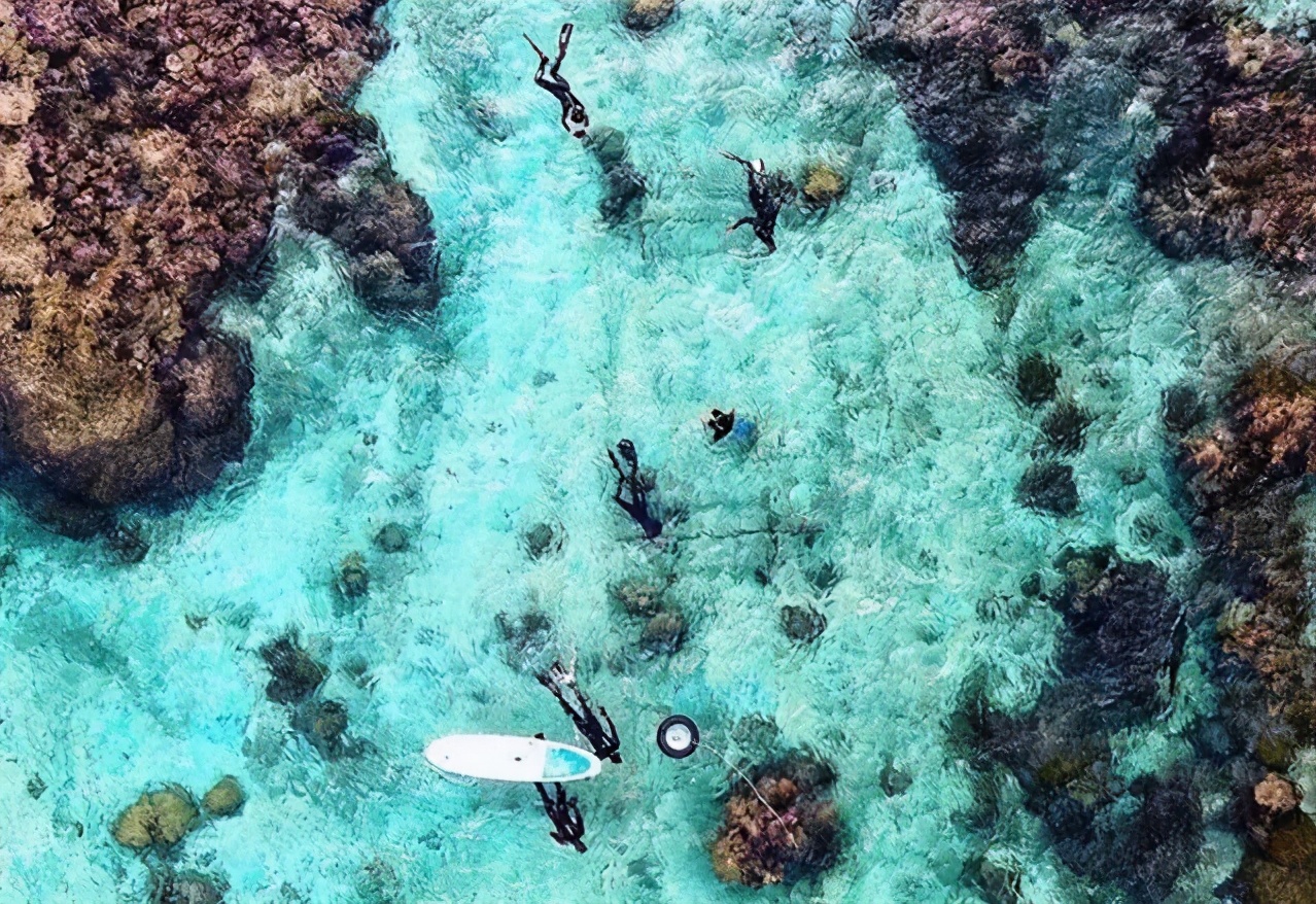 白本护照美国旅游免签,白本护照过境免签新加坡