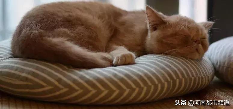 发烧腋下肿大的原因,成年女性突然发烧39度多怎么回事