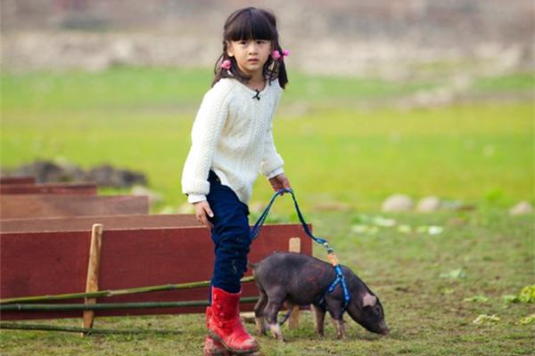 家里孩子还在沉迷电子游戏和动画片？12岁的森碟已捐出一座图书馆