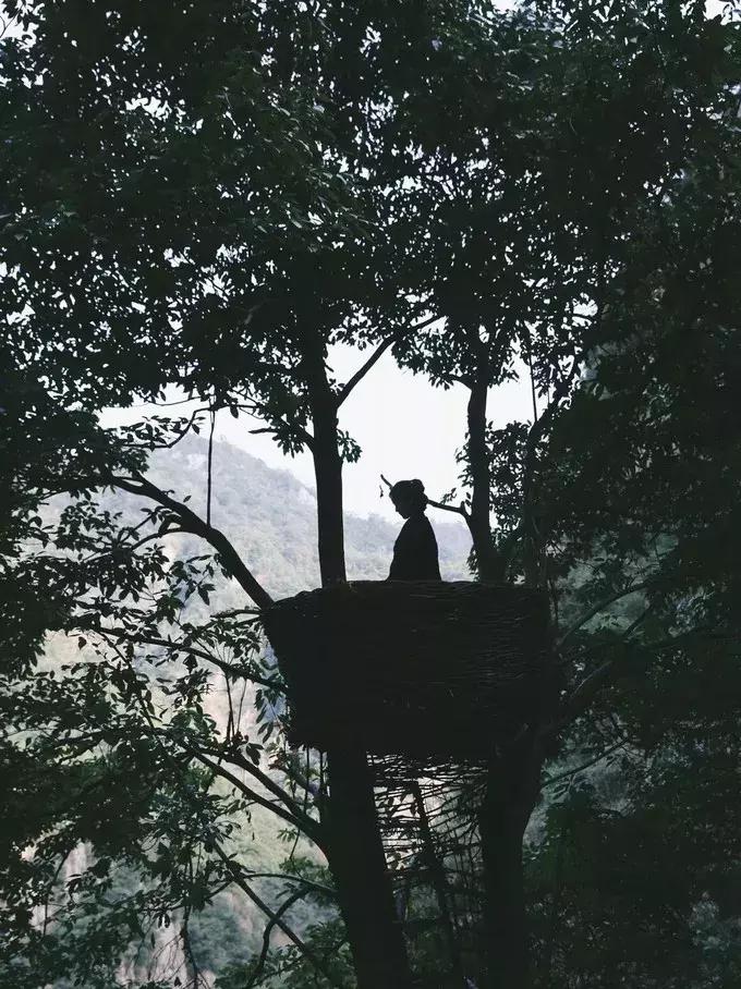 楠溪江的水有多美 (浙江楠溪江风景区怎么样)