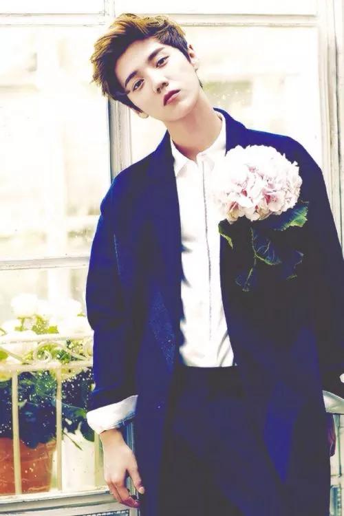 歌手鹿晗音乐作品,鹿晗是演员还是歌手