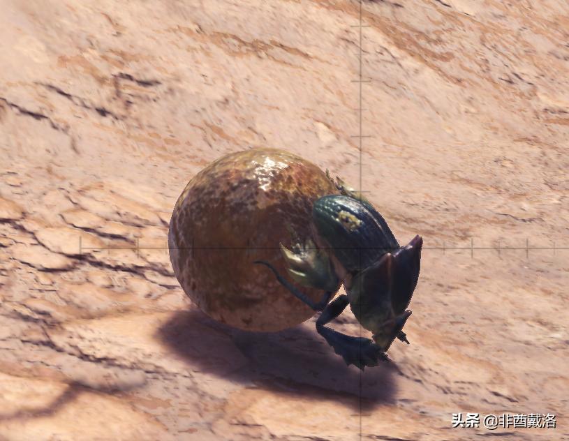 怪物猎人世界dlc雪原,怪物猎人世界冰原dlc深度测评