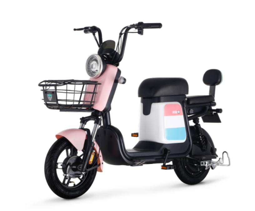 绿源电动自行车2021年新品,电动自行车品牌排行榜前十名