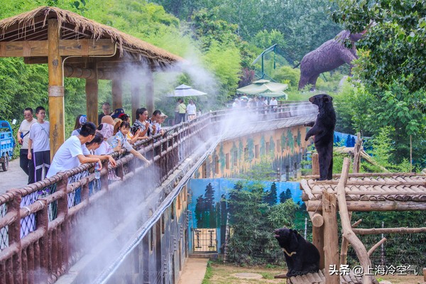 山东亲子乐园好玩吗,山东适合小宝宝玩的亲子乐园