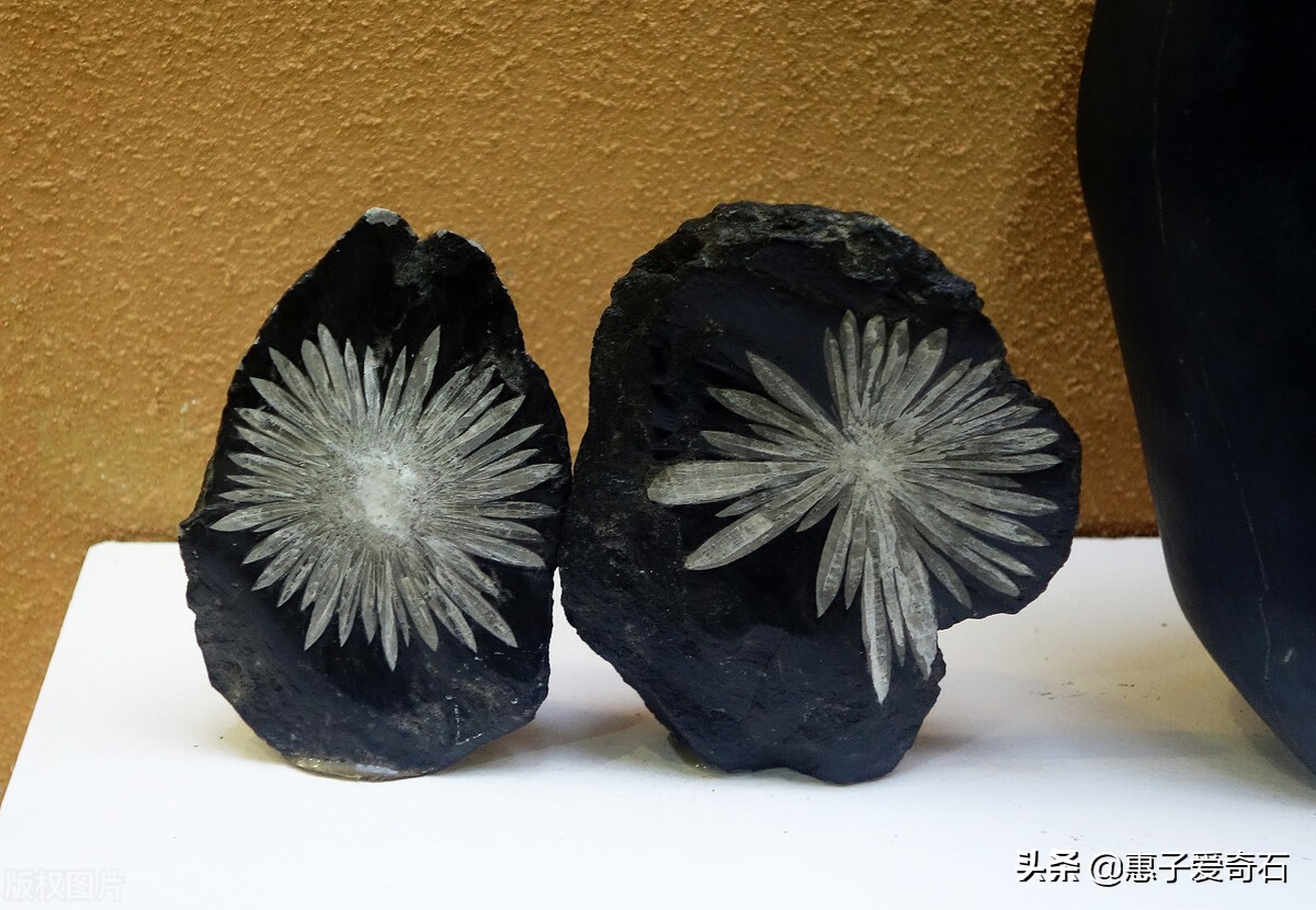 最贵的石头是什么石头,中国最贵的石头在哪