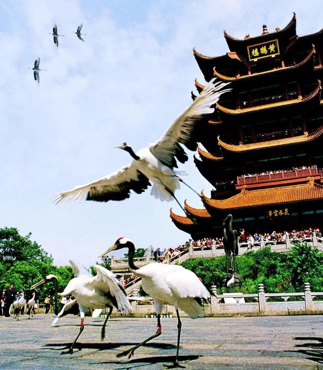 中国的古代的十大名楼,江南十大名楼有哪些