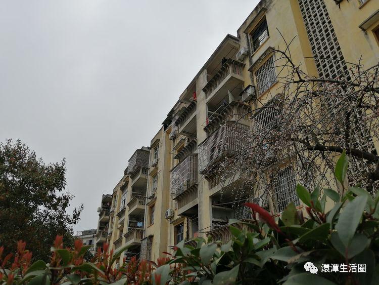 诗中的随县澴潭二小随州作者孔庆杰】