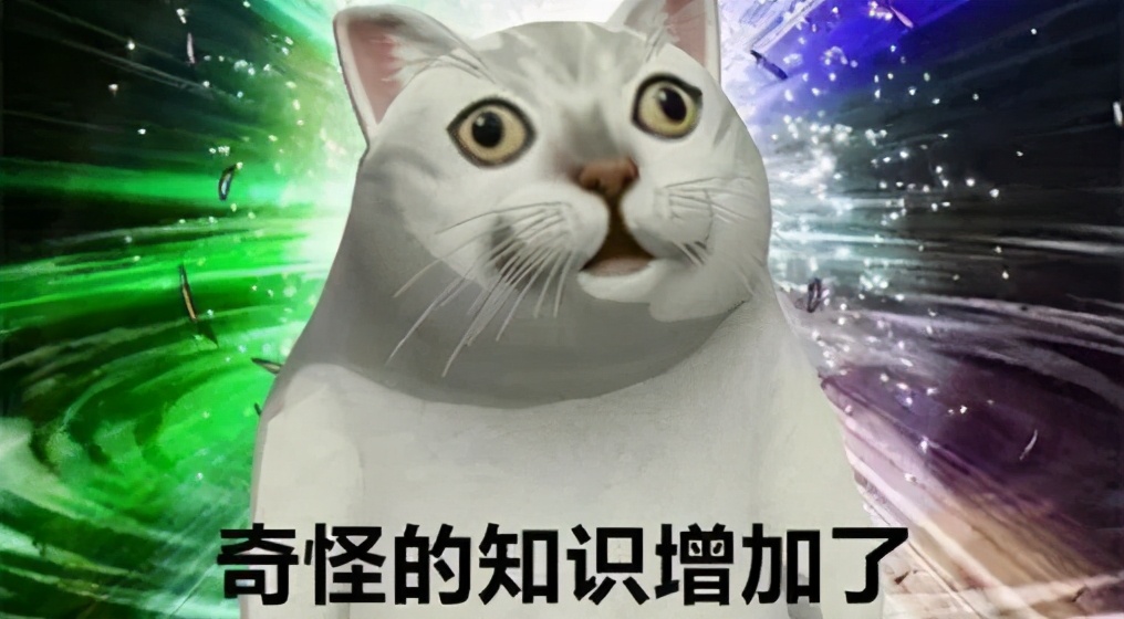 干货分享八个赚钱方法,干货分享如何抖音挣钱