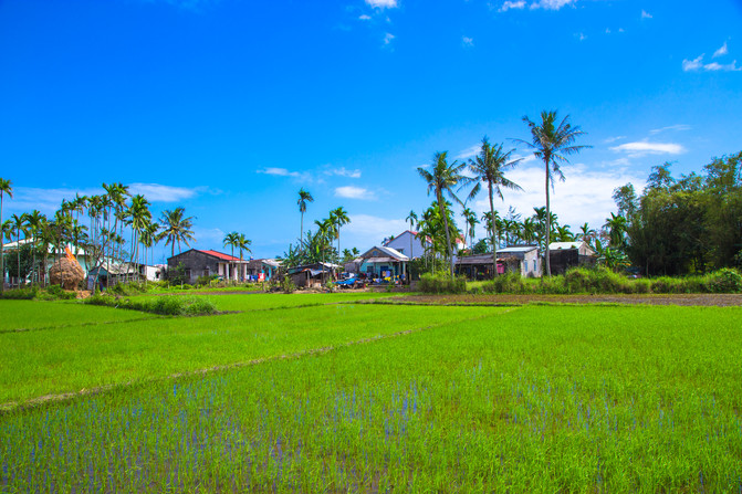 华人在越南经济地位,华人在越南的历史