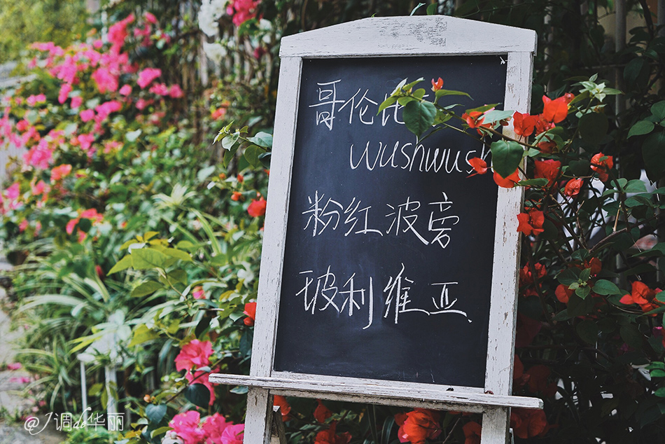 厦门没去过的地方,厦门没去过的景点