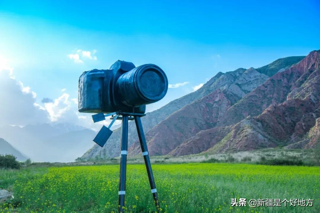 借着夏天的名义一起去吹吹风看海,借着夏天的名义一起去吹吹风