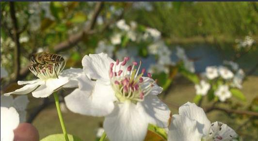 浙江大学在全国各省录取分数线,浙江大学医学院2021年录取分数线