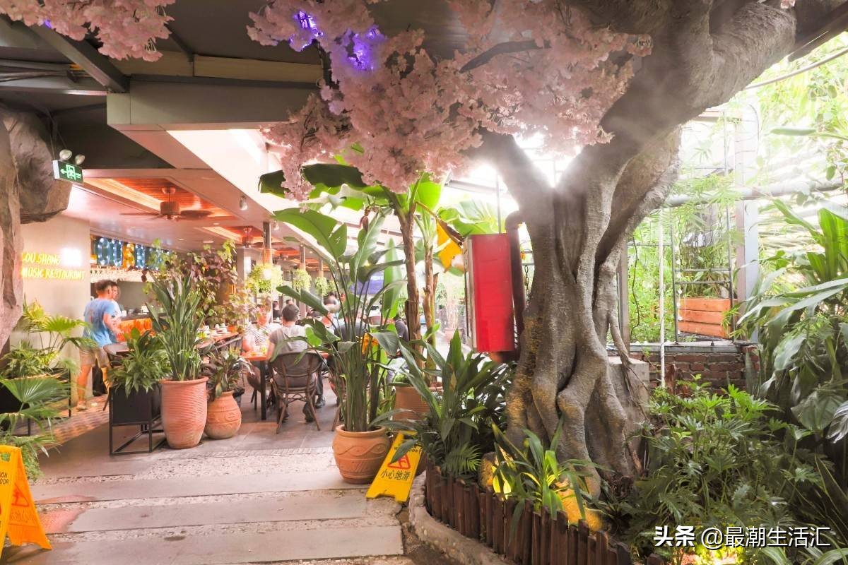 南山桂庙路附近美食店推荐,南山桂庙路附近美食