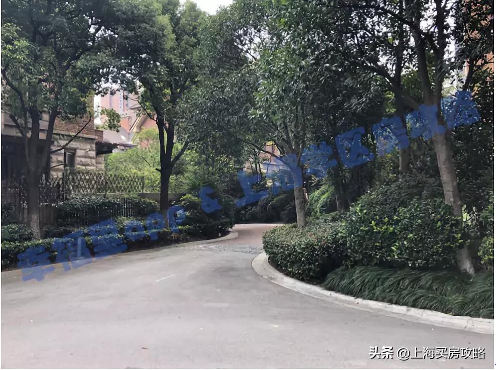 浦东第一公办牛校,上海市浦东新区第一小学