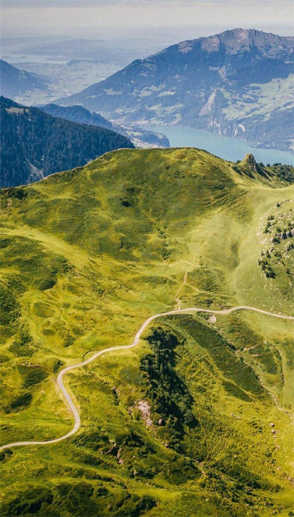 送你一张绝美壁纸,送你一张超美竖屏壁纸