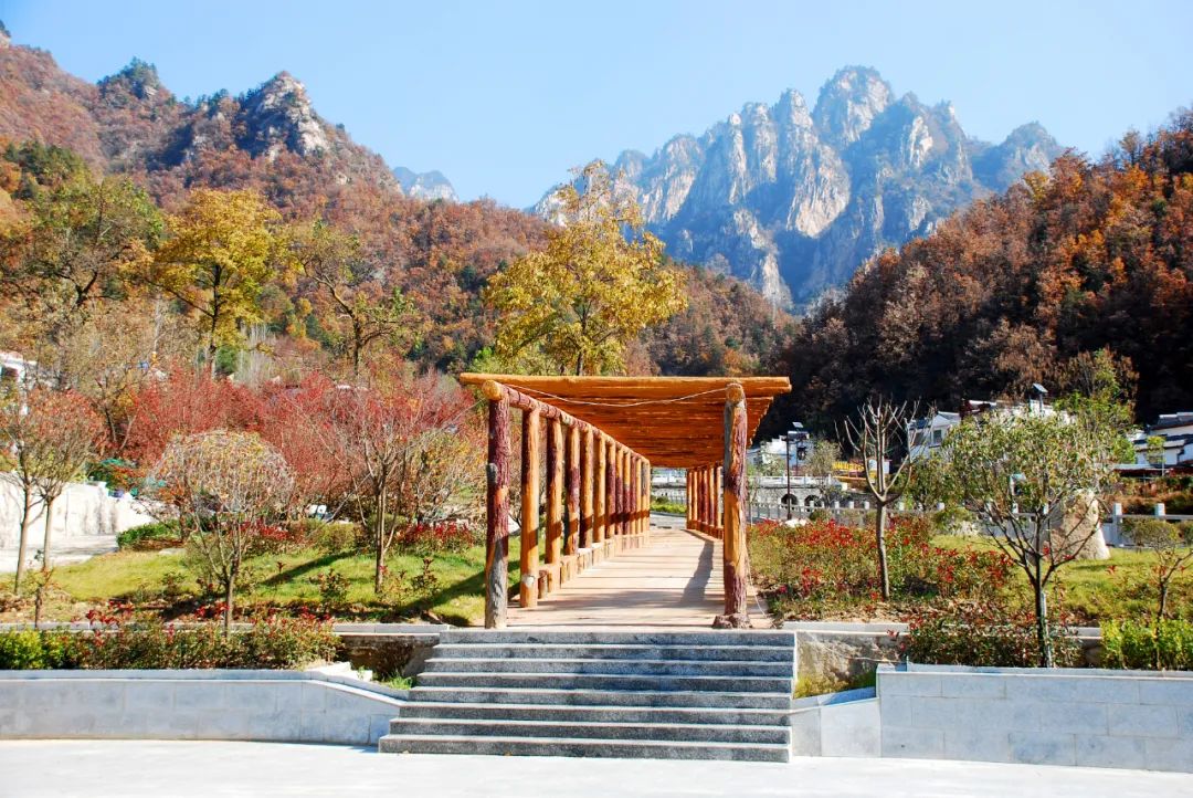 老界岭助力河南文旅,河南老界岭风景区位置