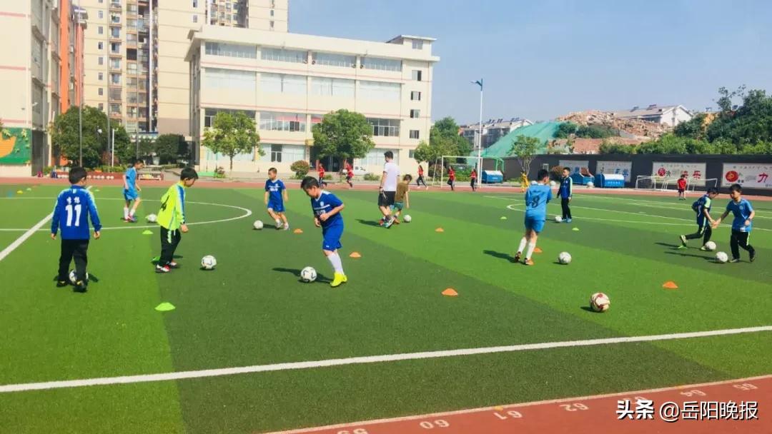 各地抗疫操作给我们的启示,岳阳抗疫演练