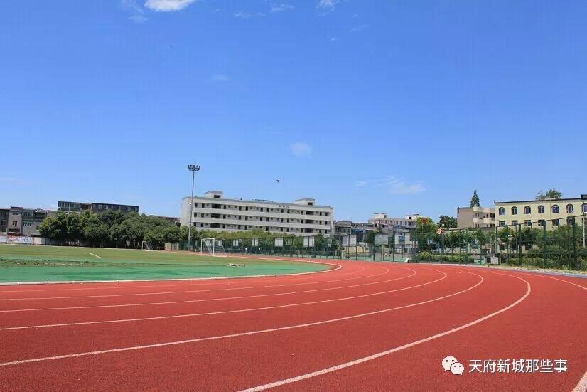 天府新区三大教育集团,天府新区五大教育集团