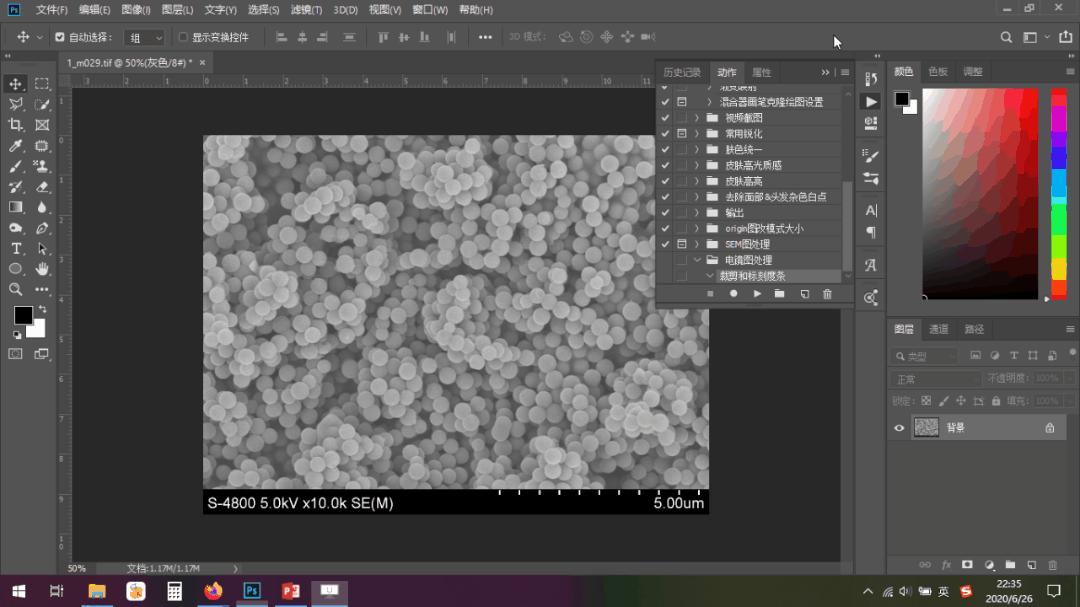 photoshop怎么给扫描电镜做标尺,用photoshop处理电镜图