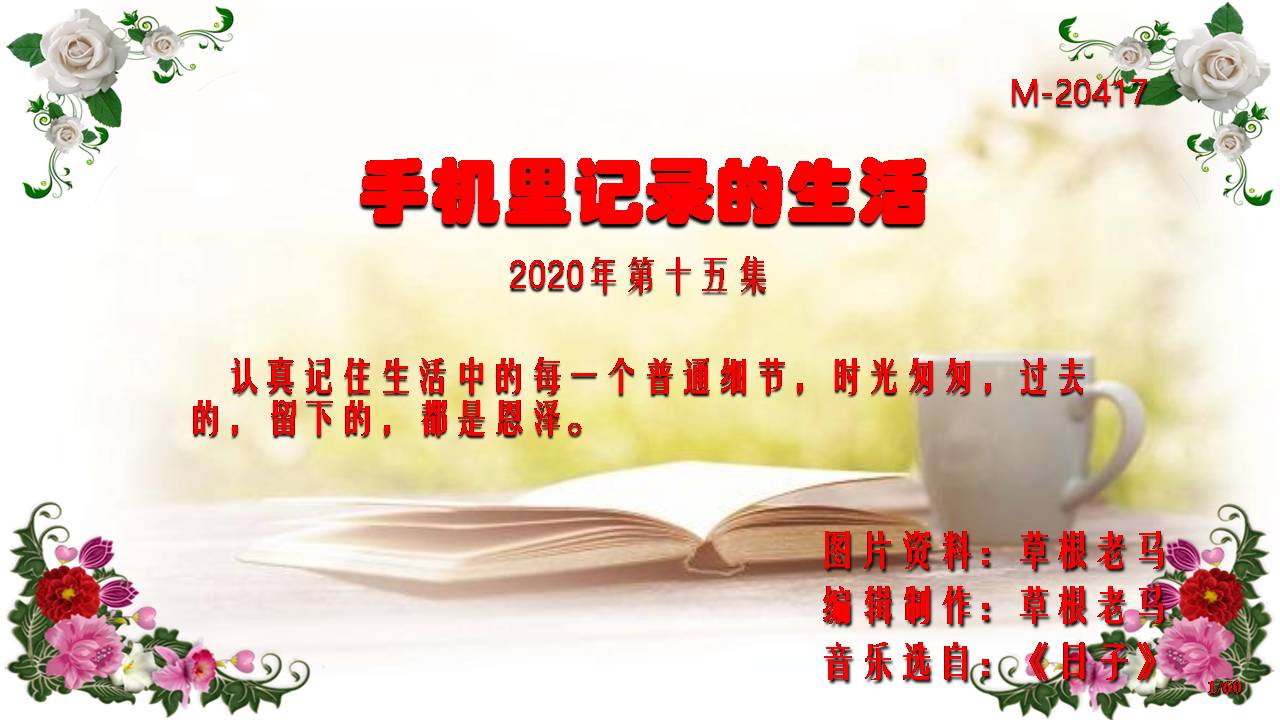 苹果手机ppt制作教程,手机把照片做成ppt模板